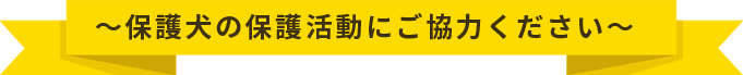 保護犬の保護活動にご協力ください